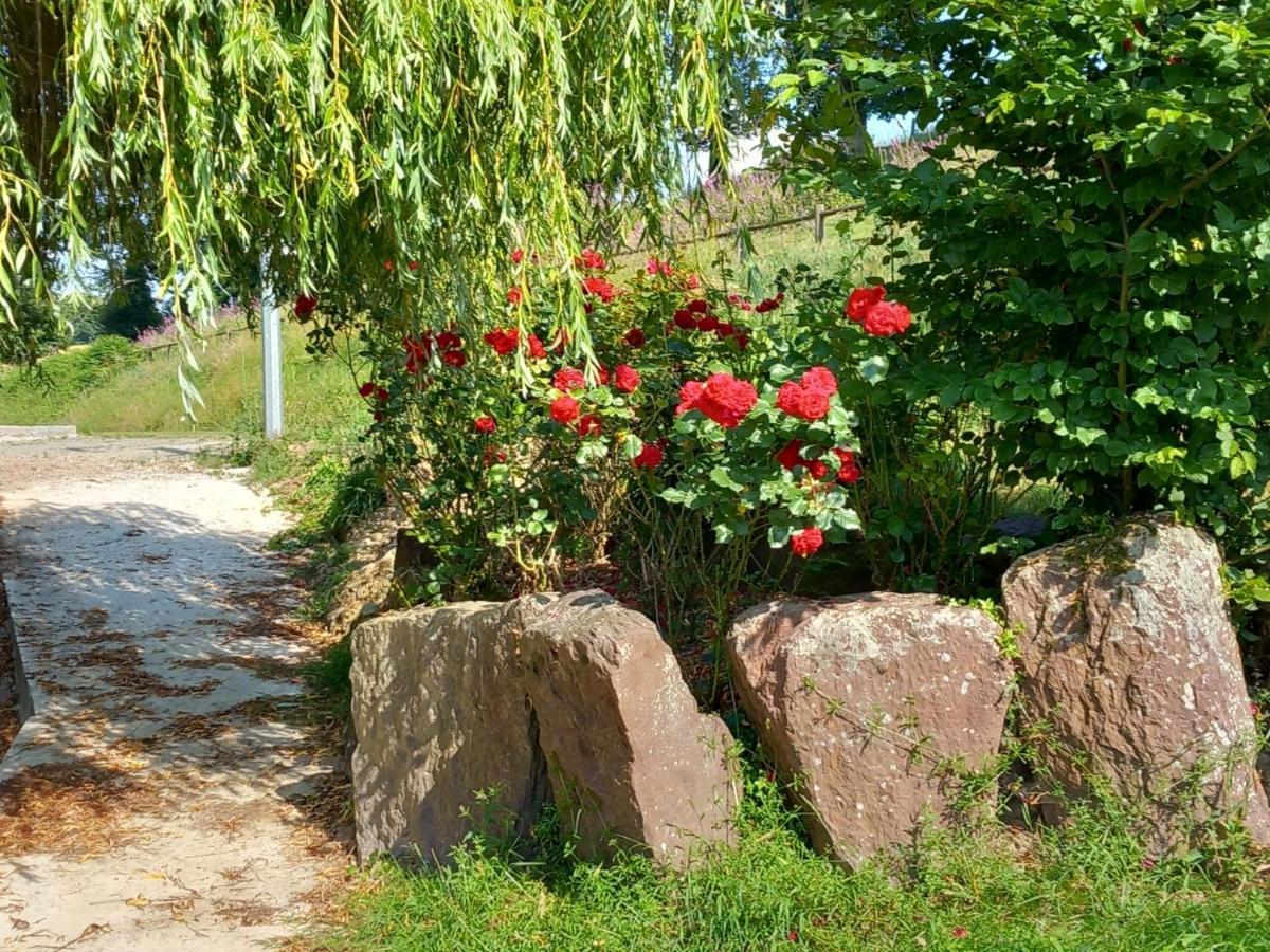 A La Memoire De Merlin & Spa Saint-Malon-sur-Mel Exterior photo